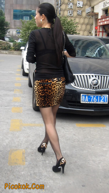 穿豹纹超短裙,超薄黑丝的极品少妇11