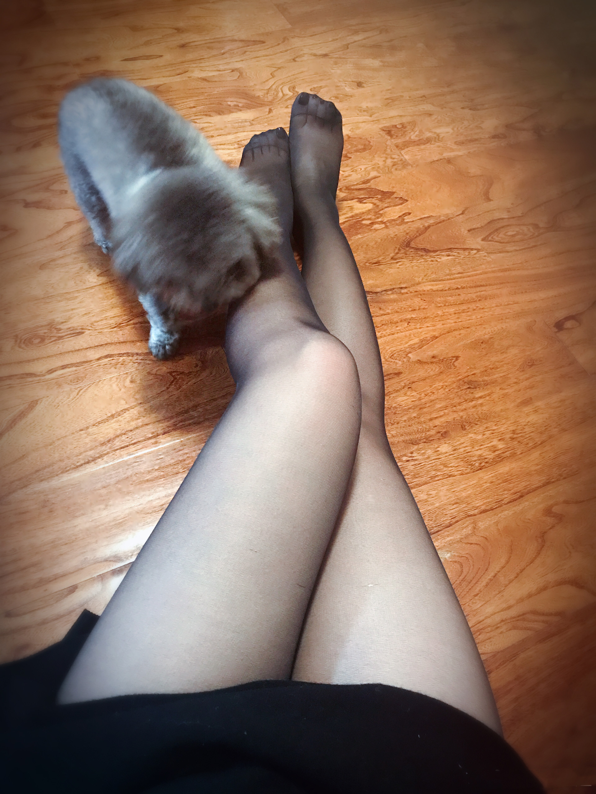 �ҵ����ӽа�Sa��������6